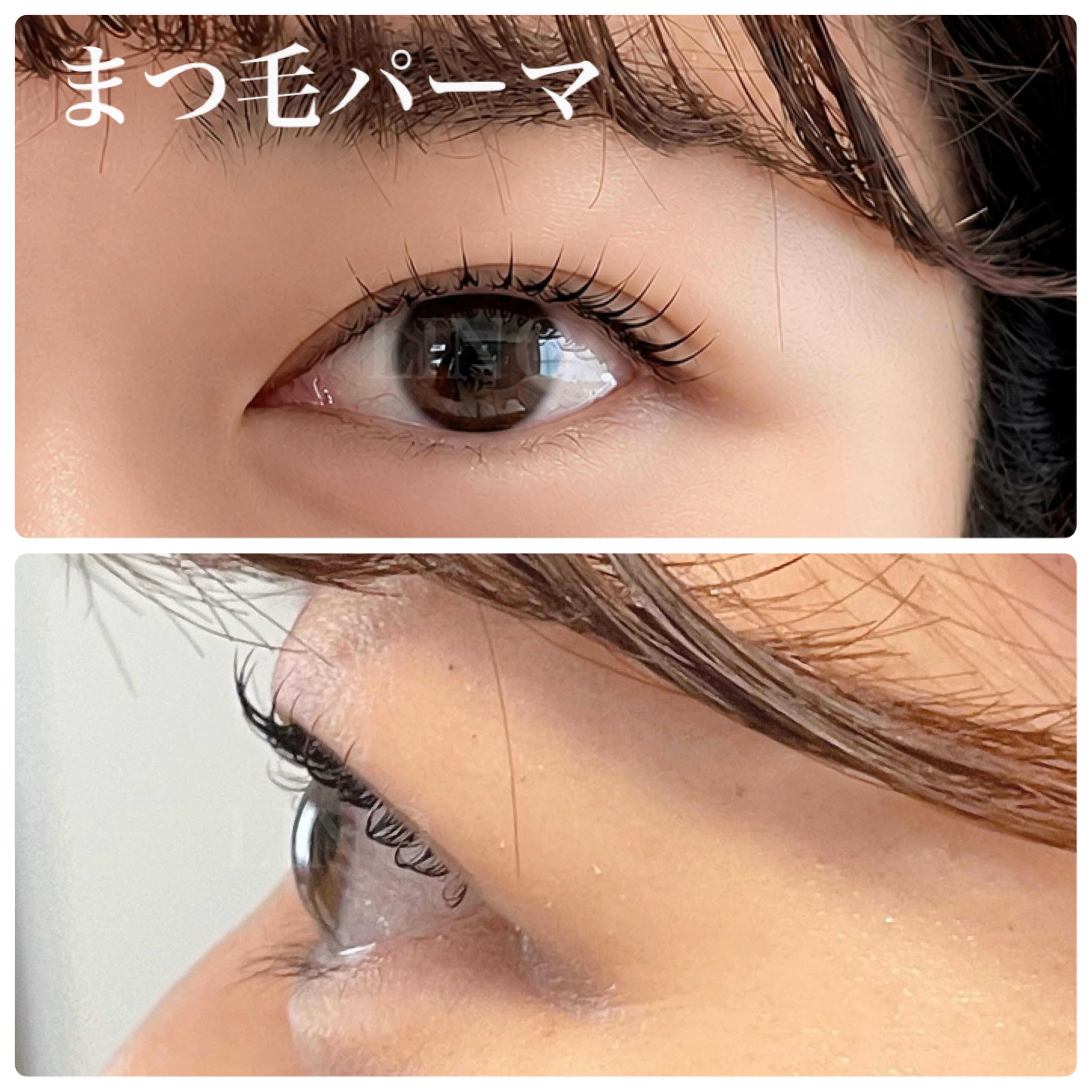 LINO_eyelash.