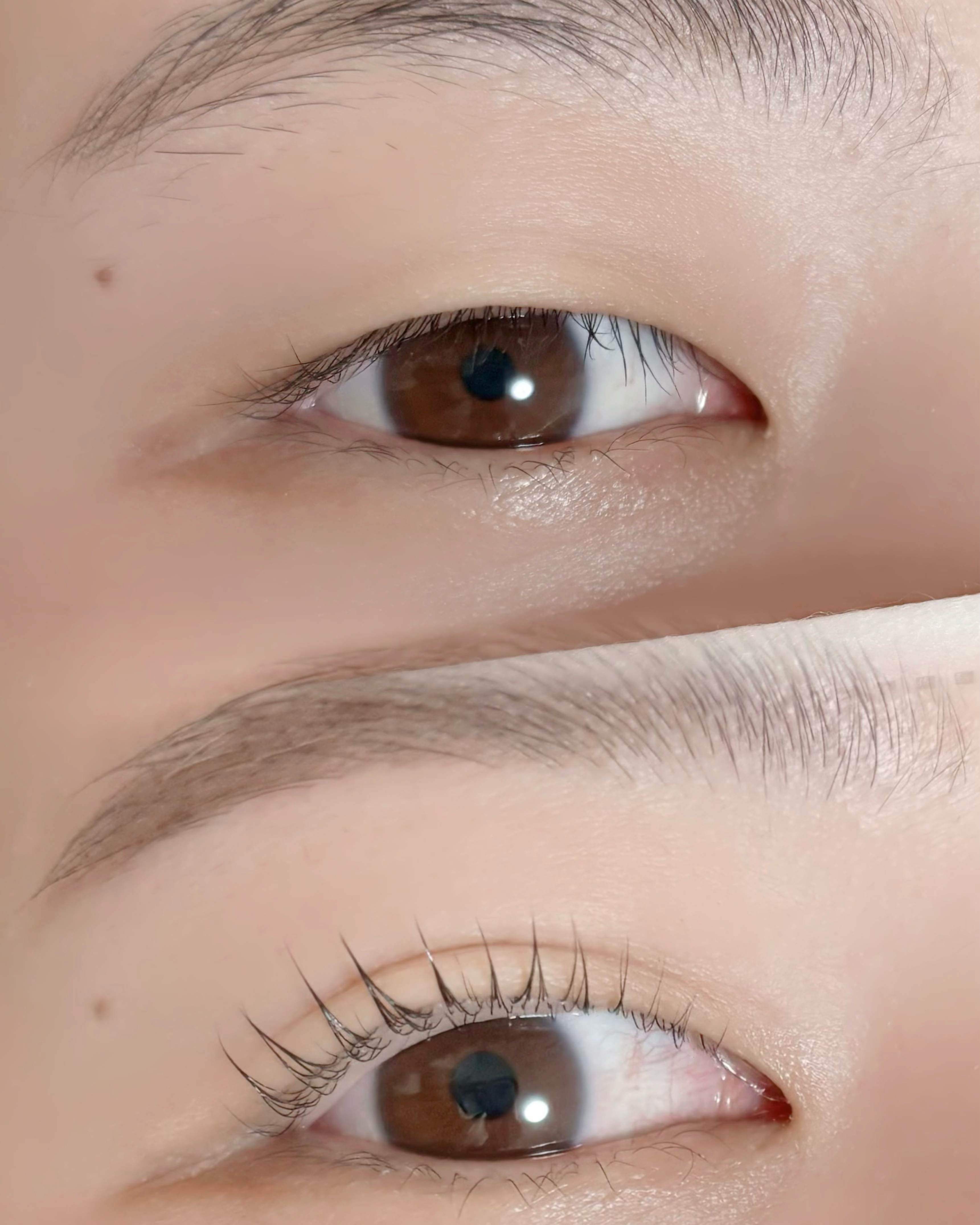 filo_eyelash