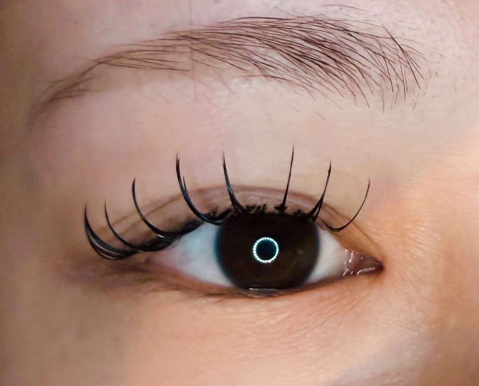 eyelash_kao