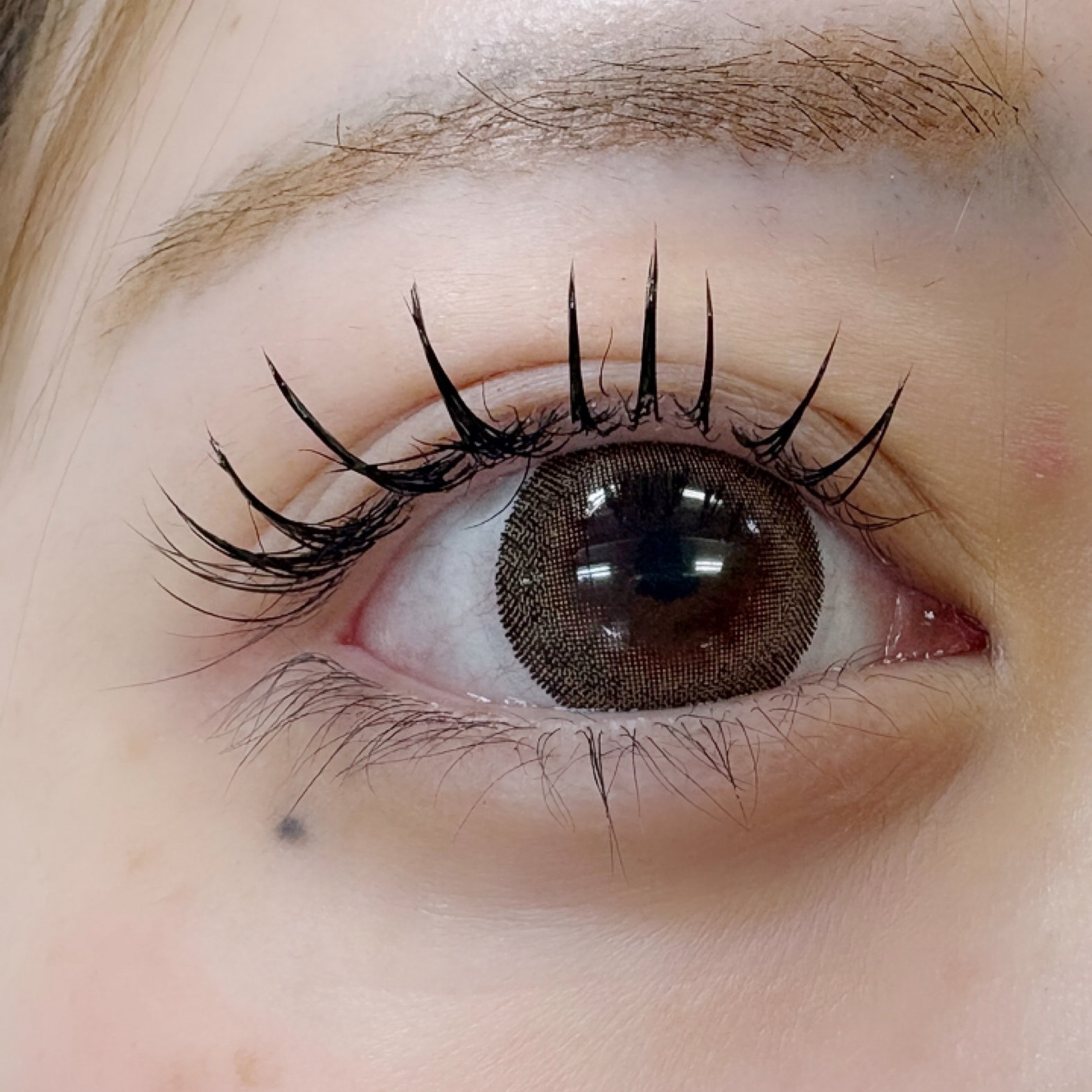 saorin_trueye