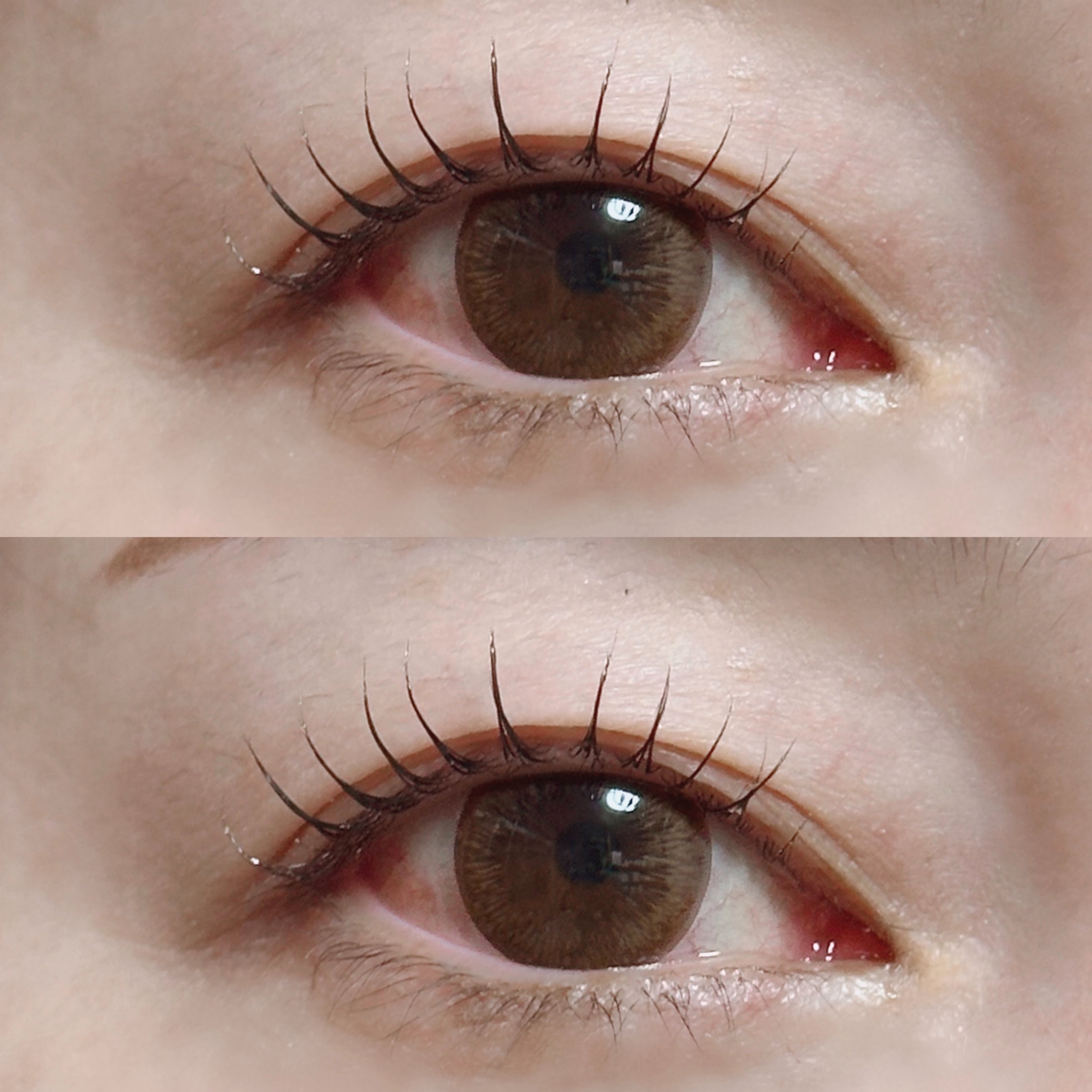 eye_owl_maryyyyyy