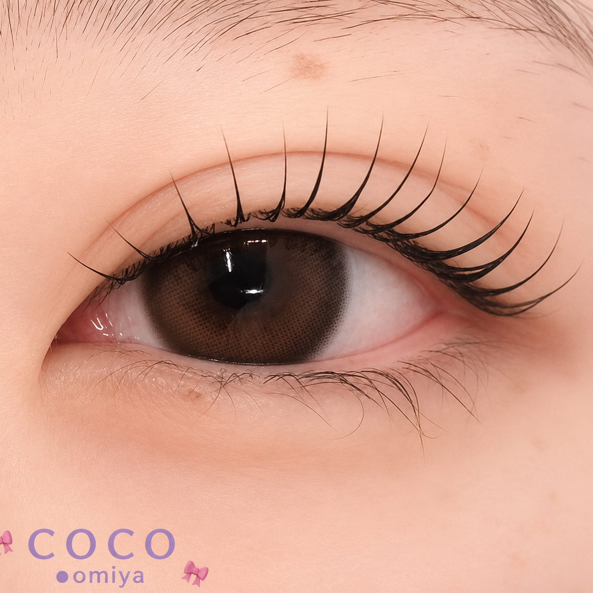 coco_shizuku