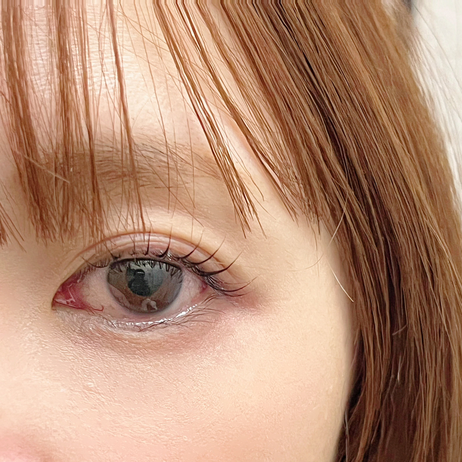hanamori__ayumi