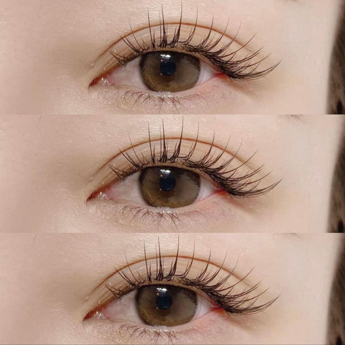 eye_ayame