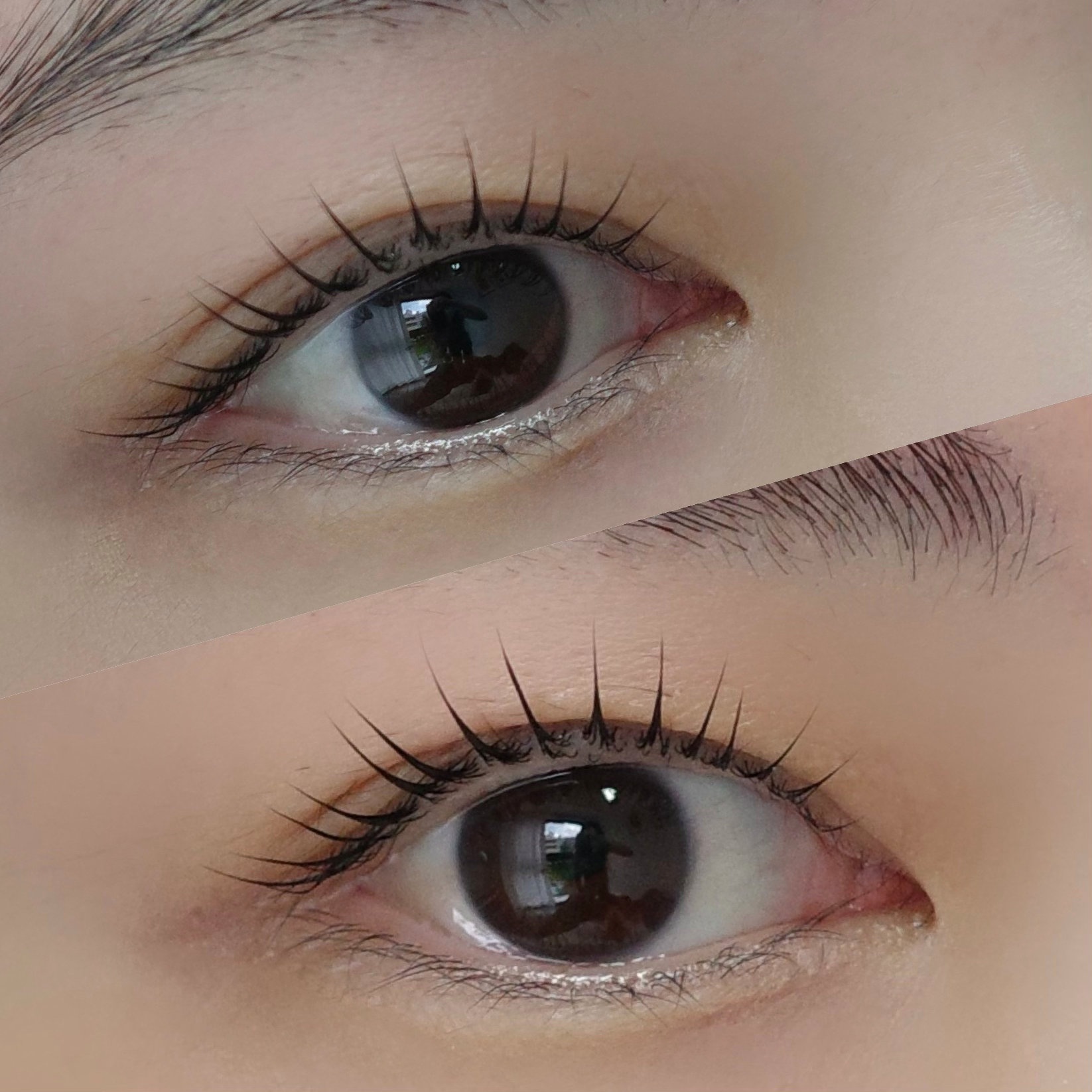 E.chic_eye