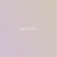 prunelle73