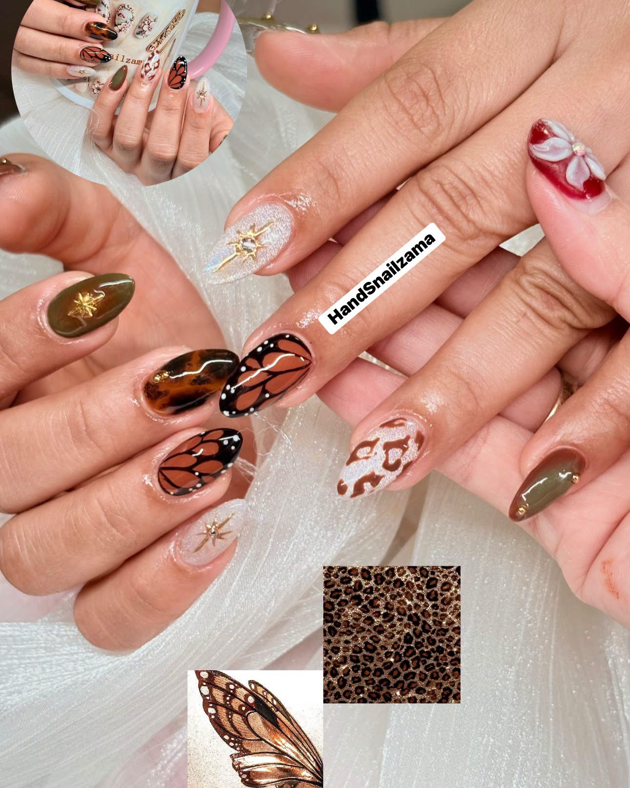 HandSnailZama