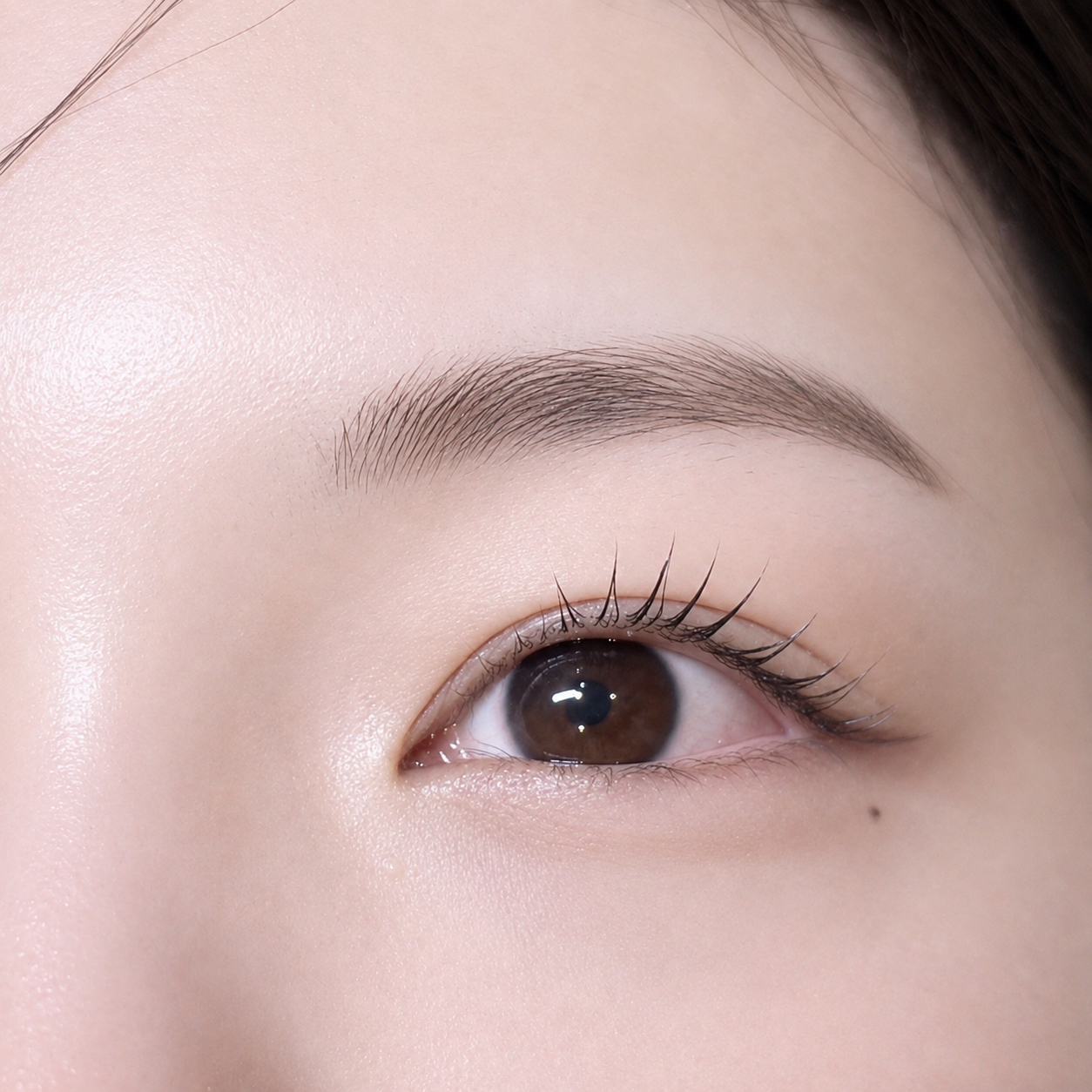 sayaka_trueye