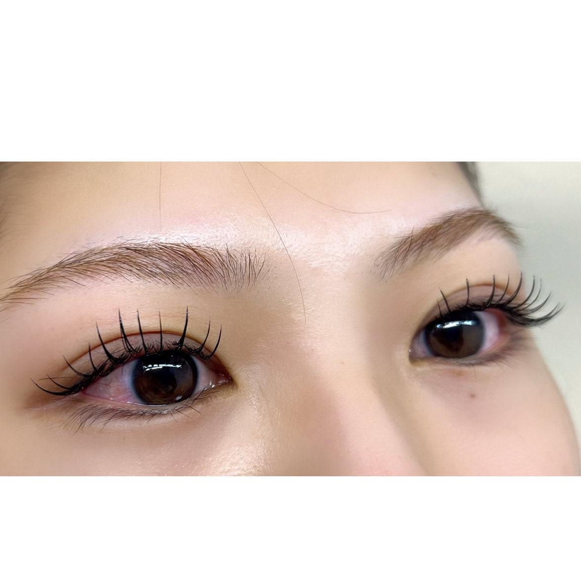 FLY_EYELASH