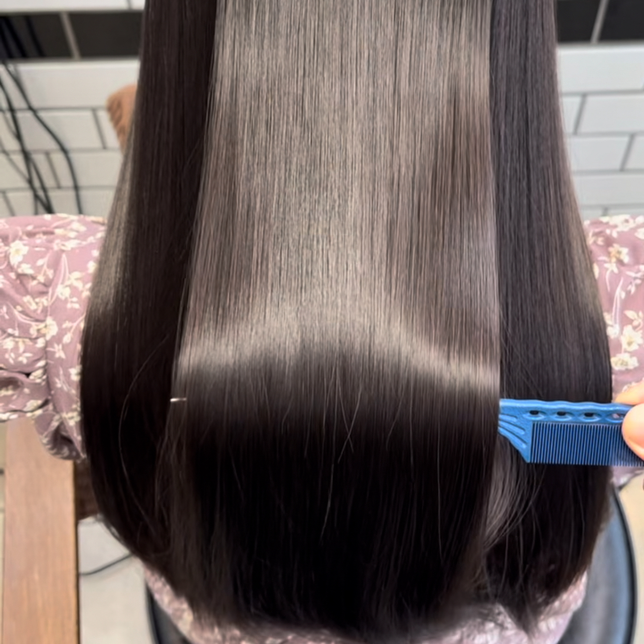 hyoga_1205