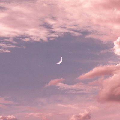 フラット定額デザイン♪