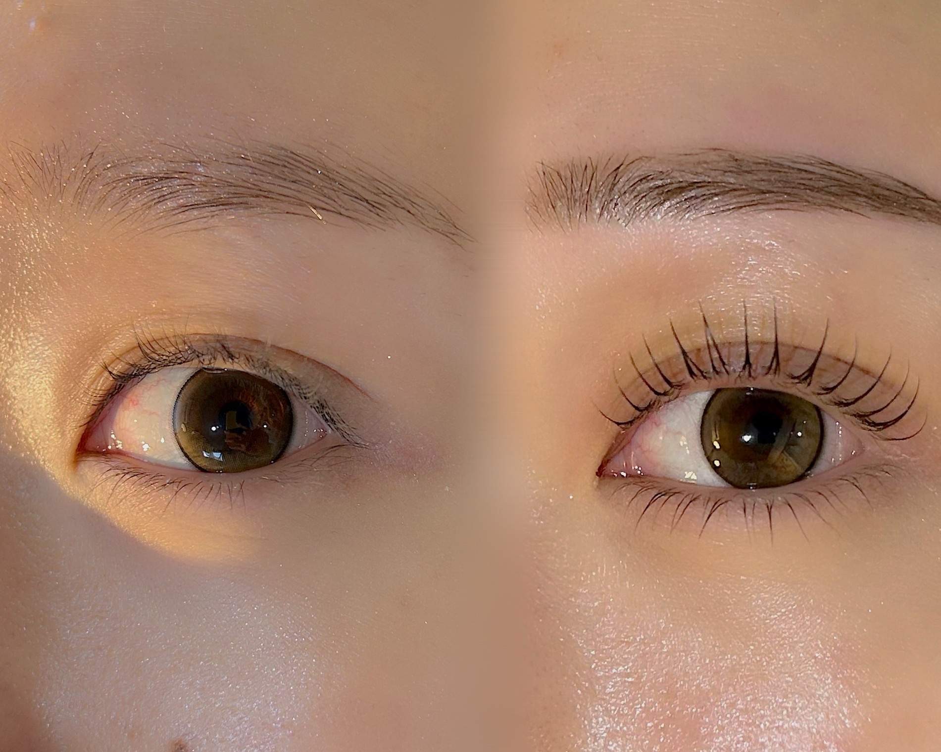 eyelash_eyebrow_desiree.