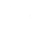 chan_24