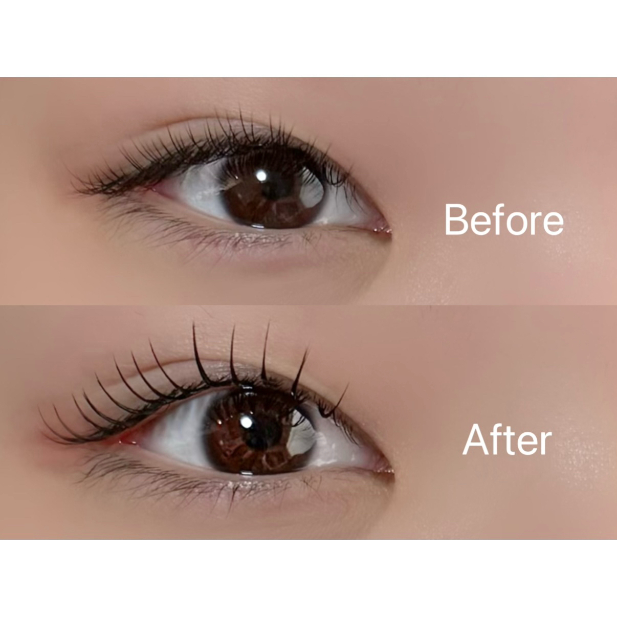 R_LASH