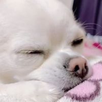 mayayaya