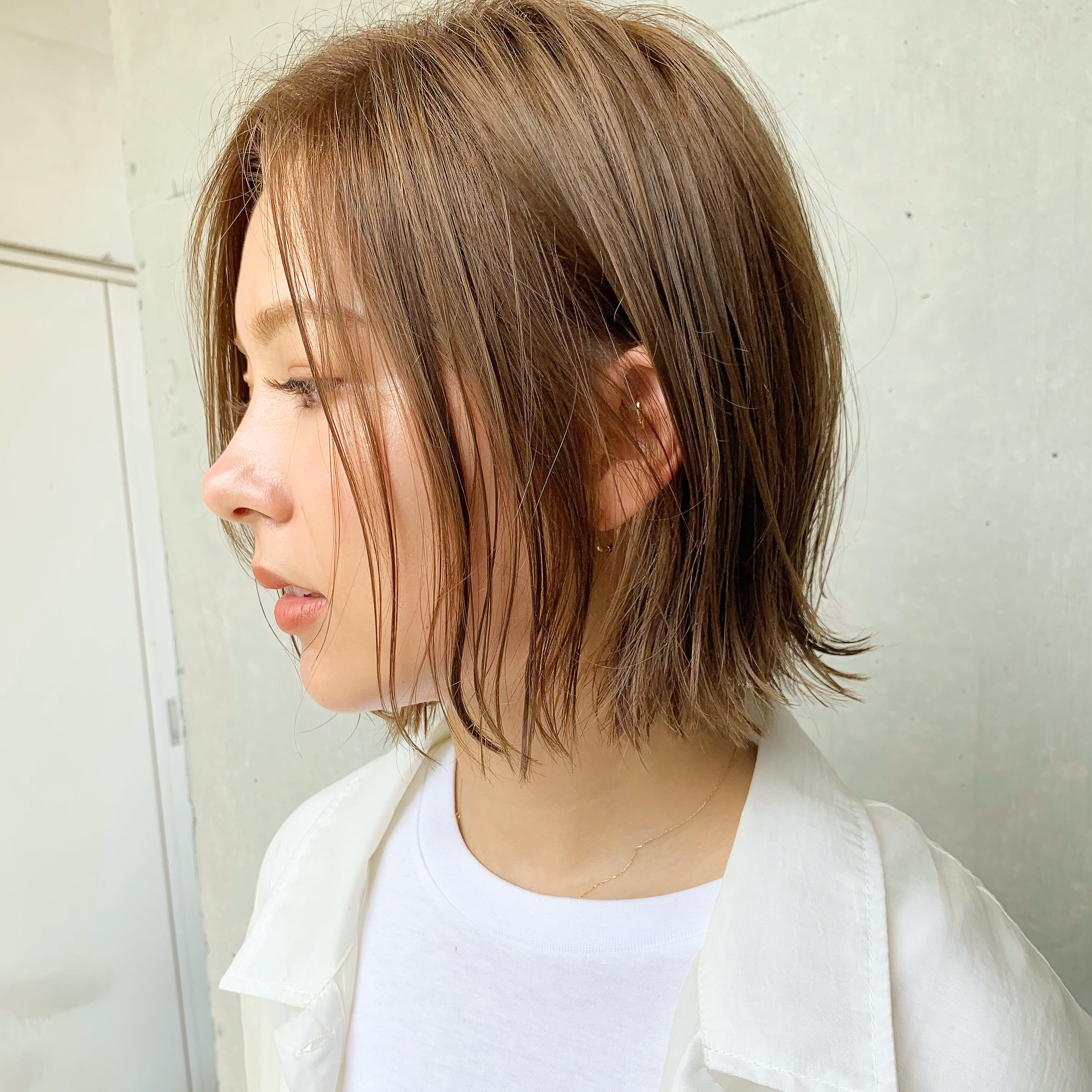 ill_dobashi