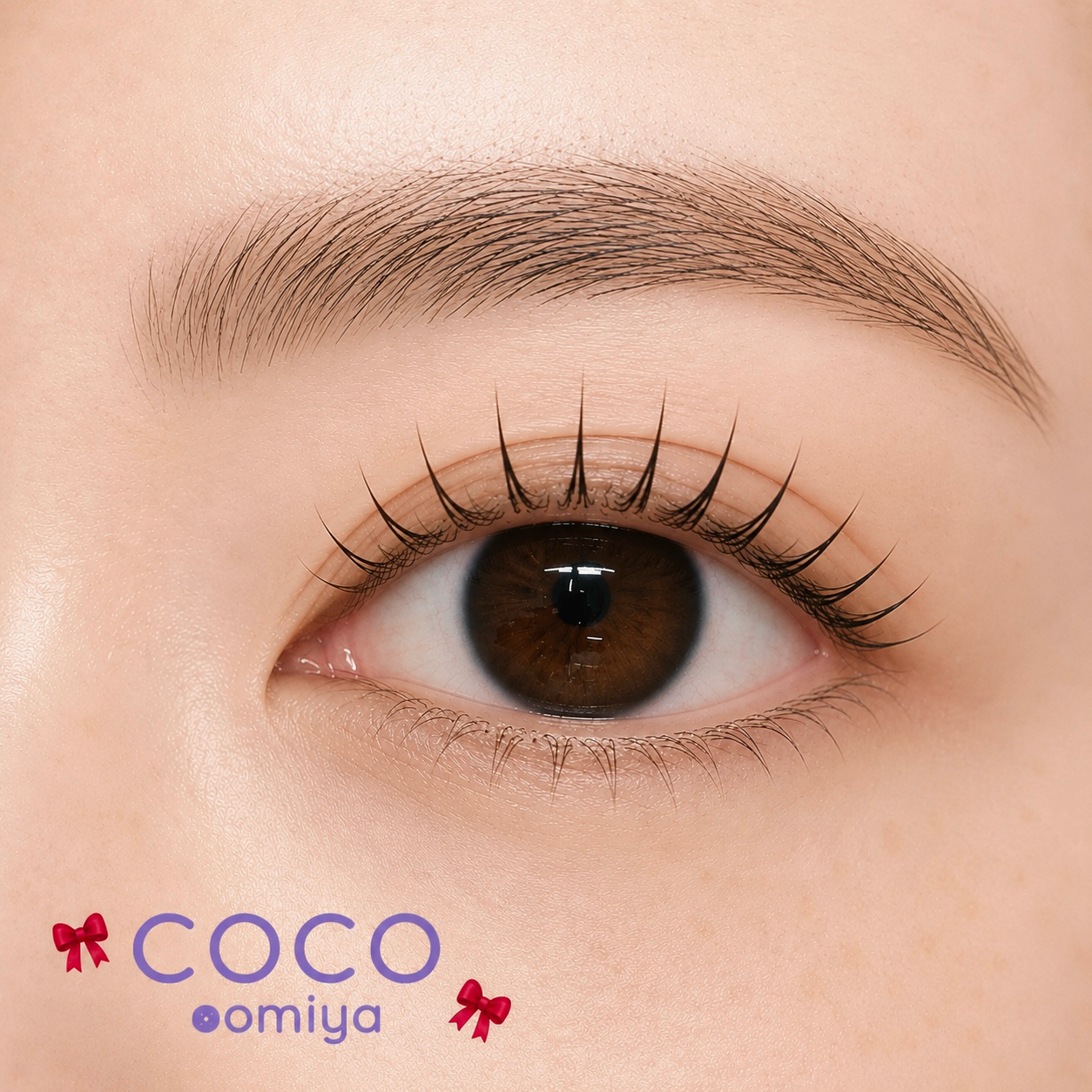 coco_shizuku