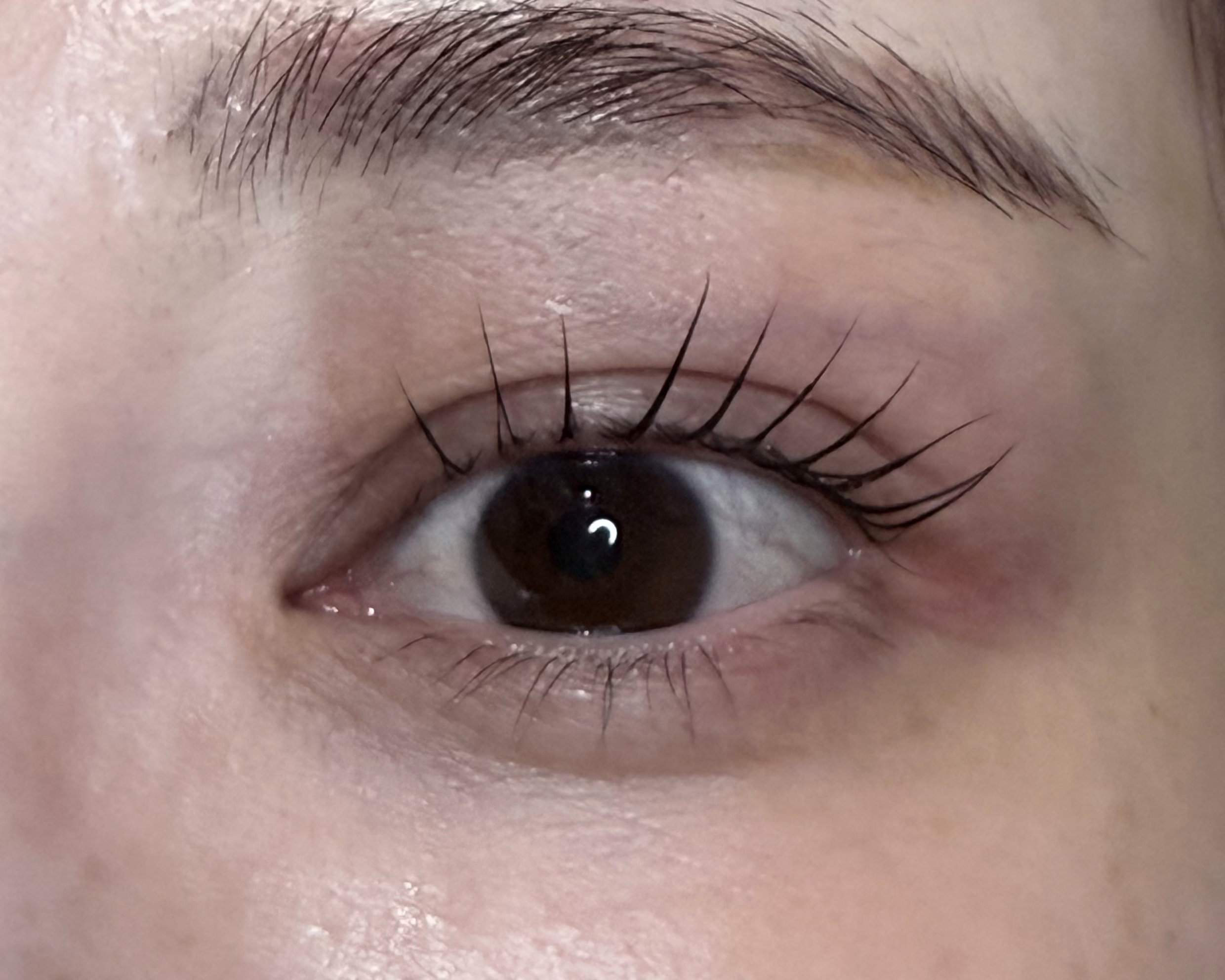 karen_eyelash