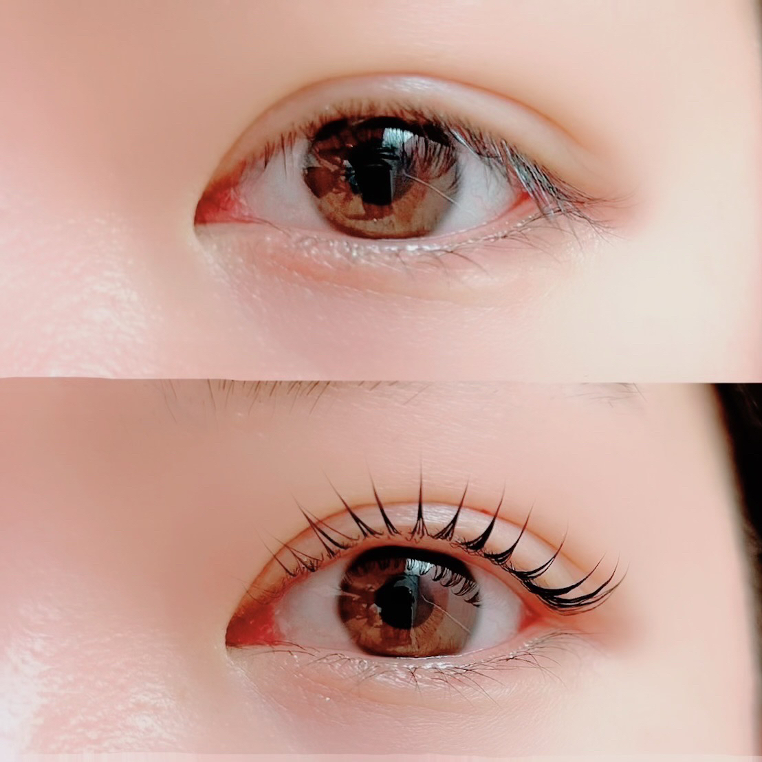 Lupines_koyume
