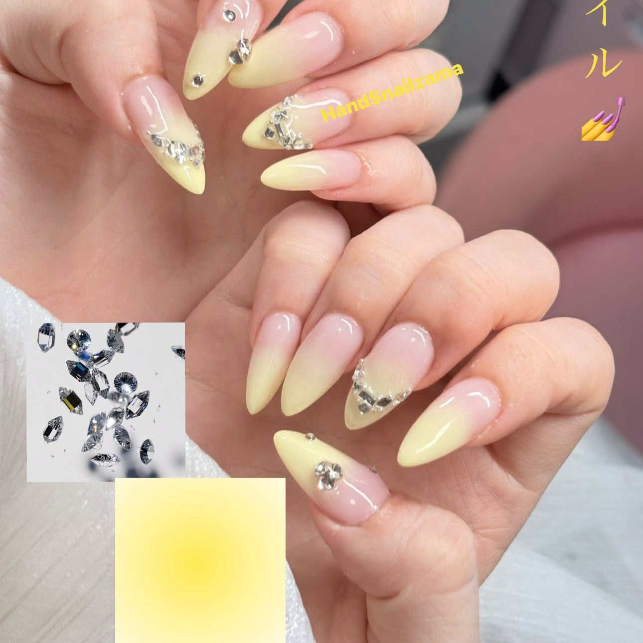 HandSnailZama