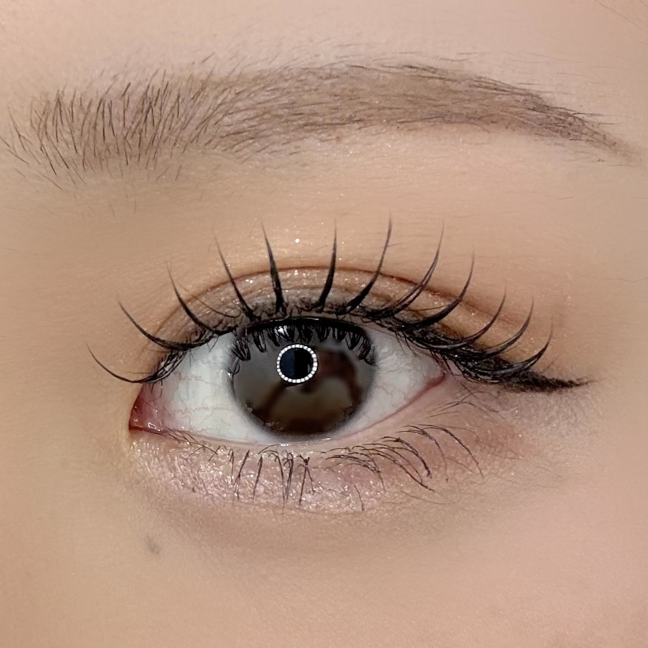 BLUEEYES_kikuta