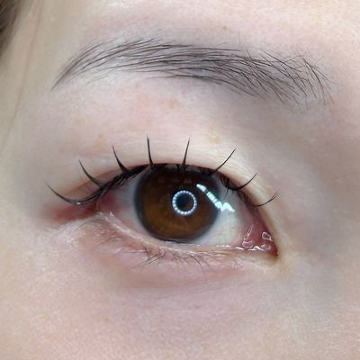 フラットラッシュ100本【オフ込み】
