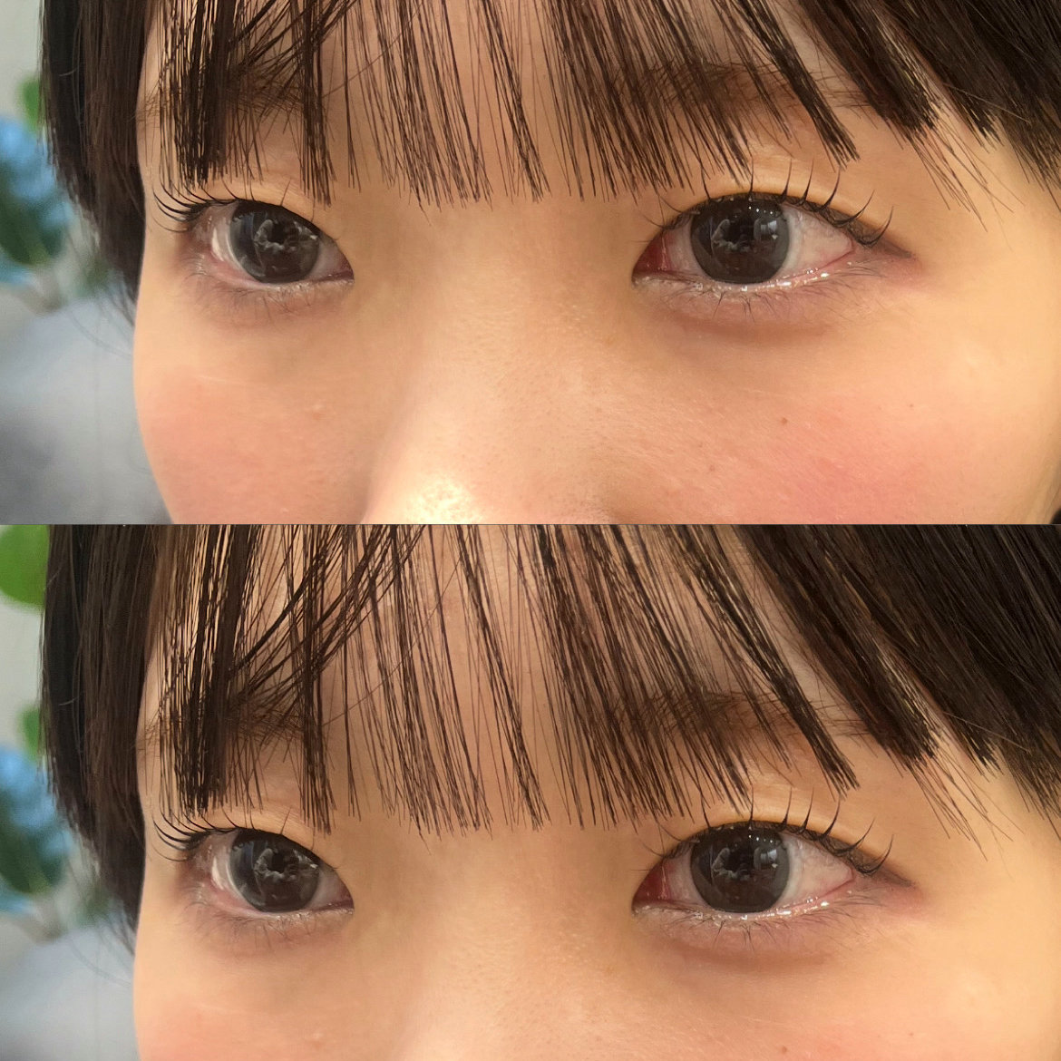 Gallica__YUU
