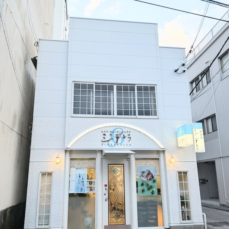 ニューヘアイメージ シンデレラ