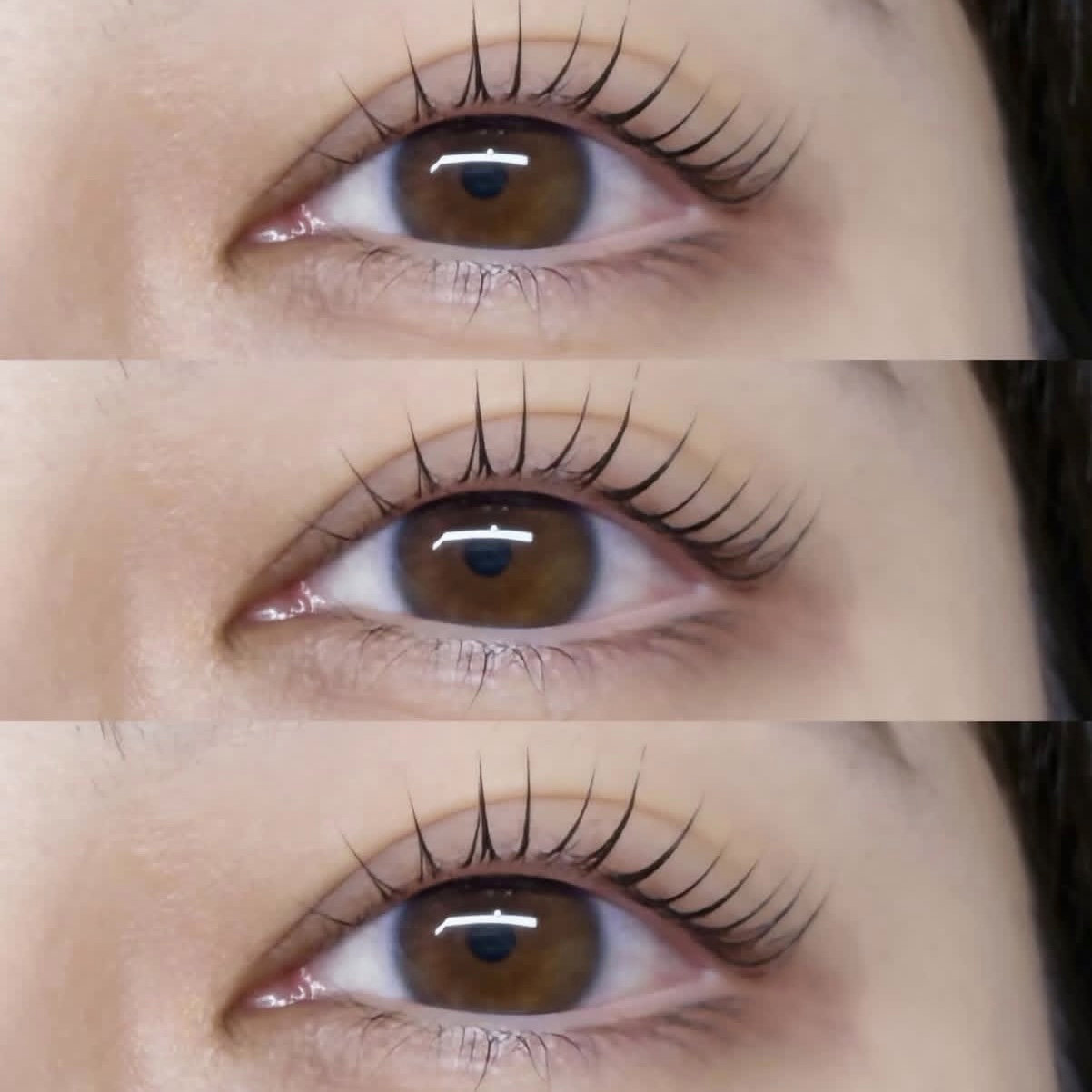 etorca.eye