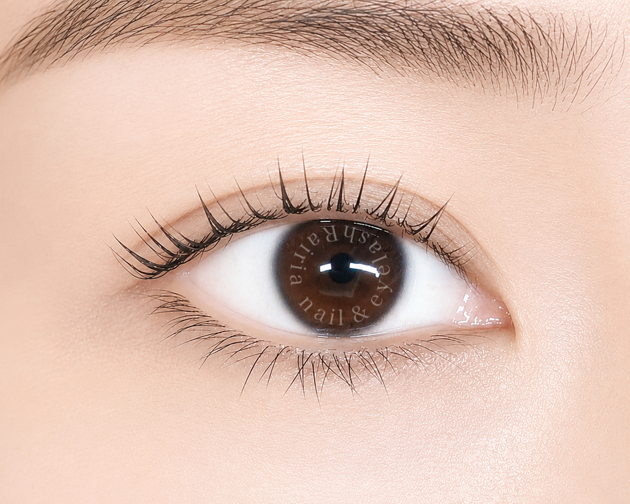 Rairia_eyelash