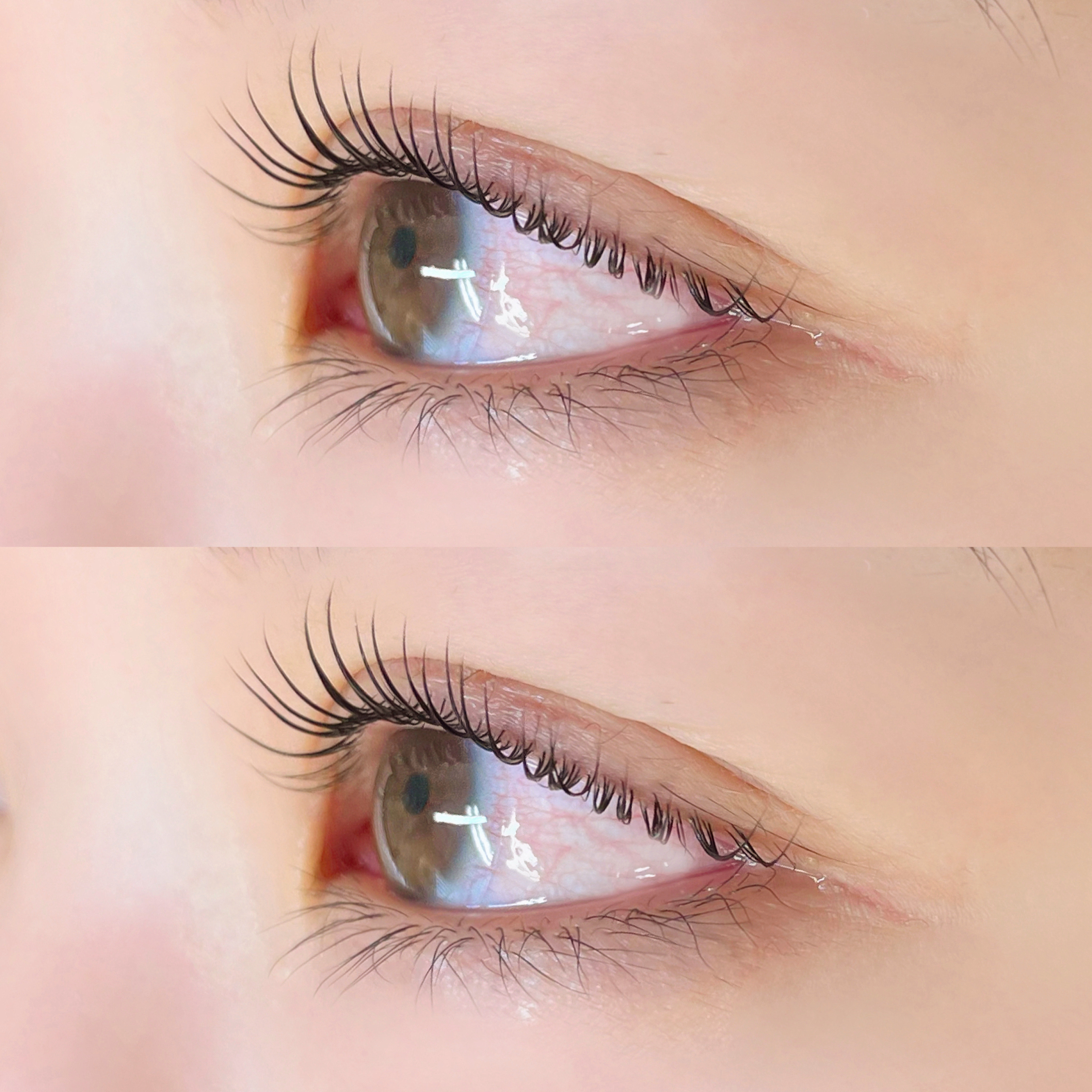 rina_eyelash