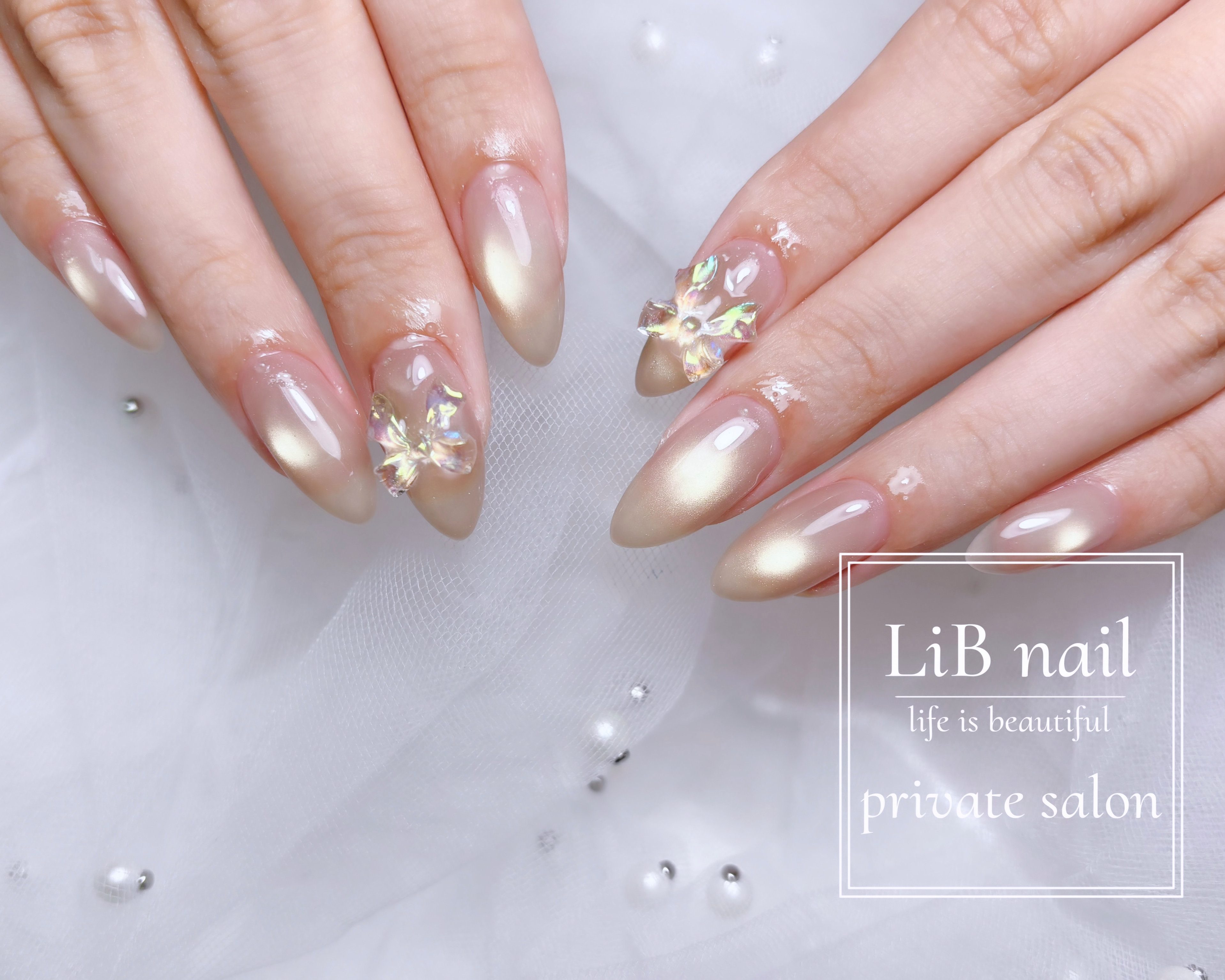 LiB_nail