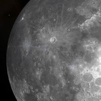 mana126408
