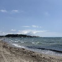 shiburin0831