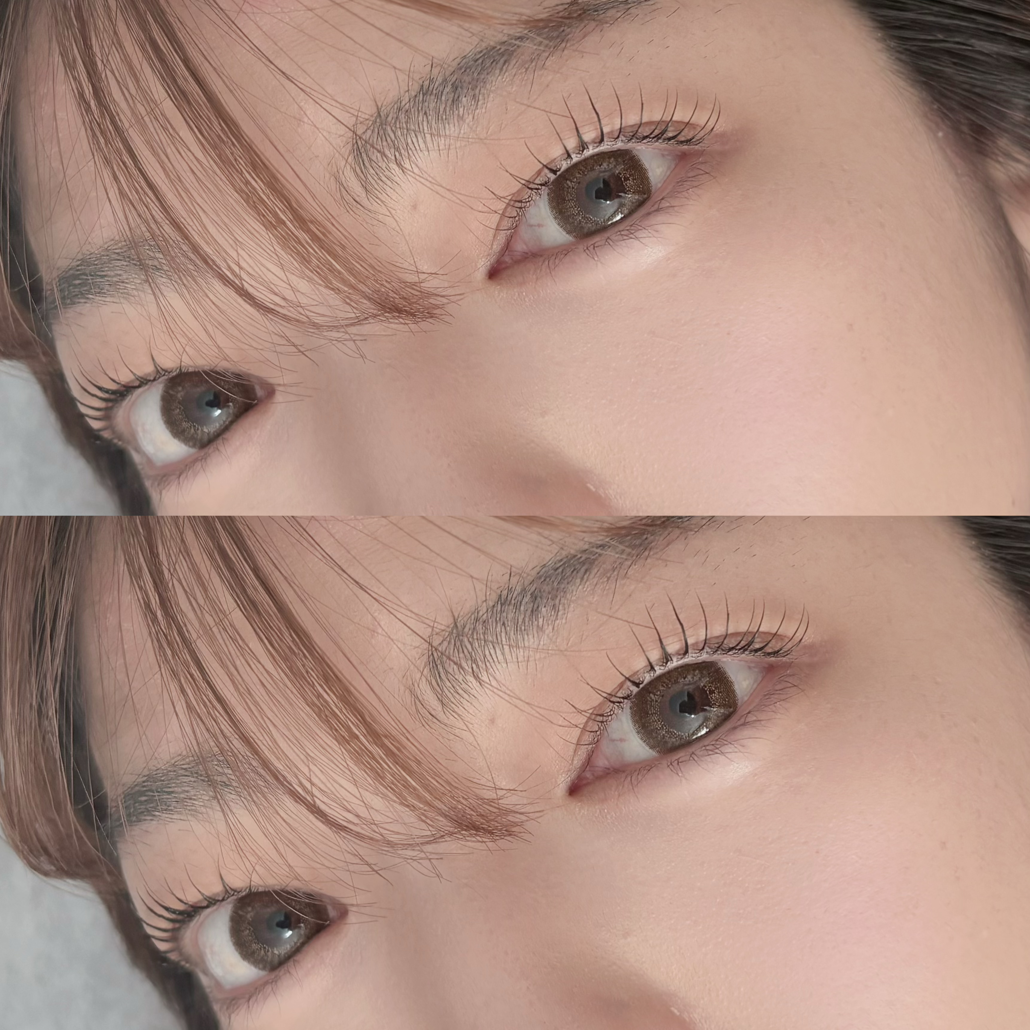 toree_m