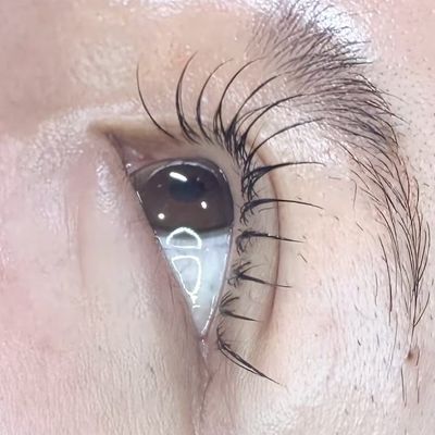 フラットラッシュ100本