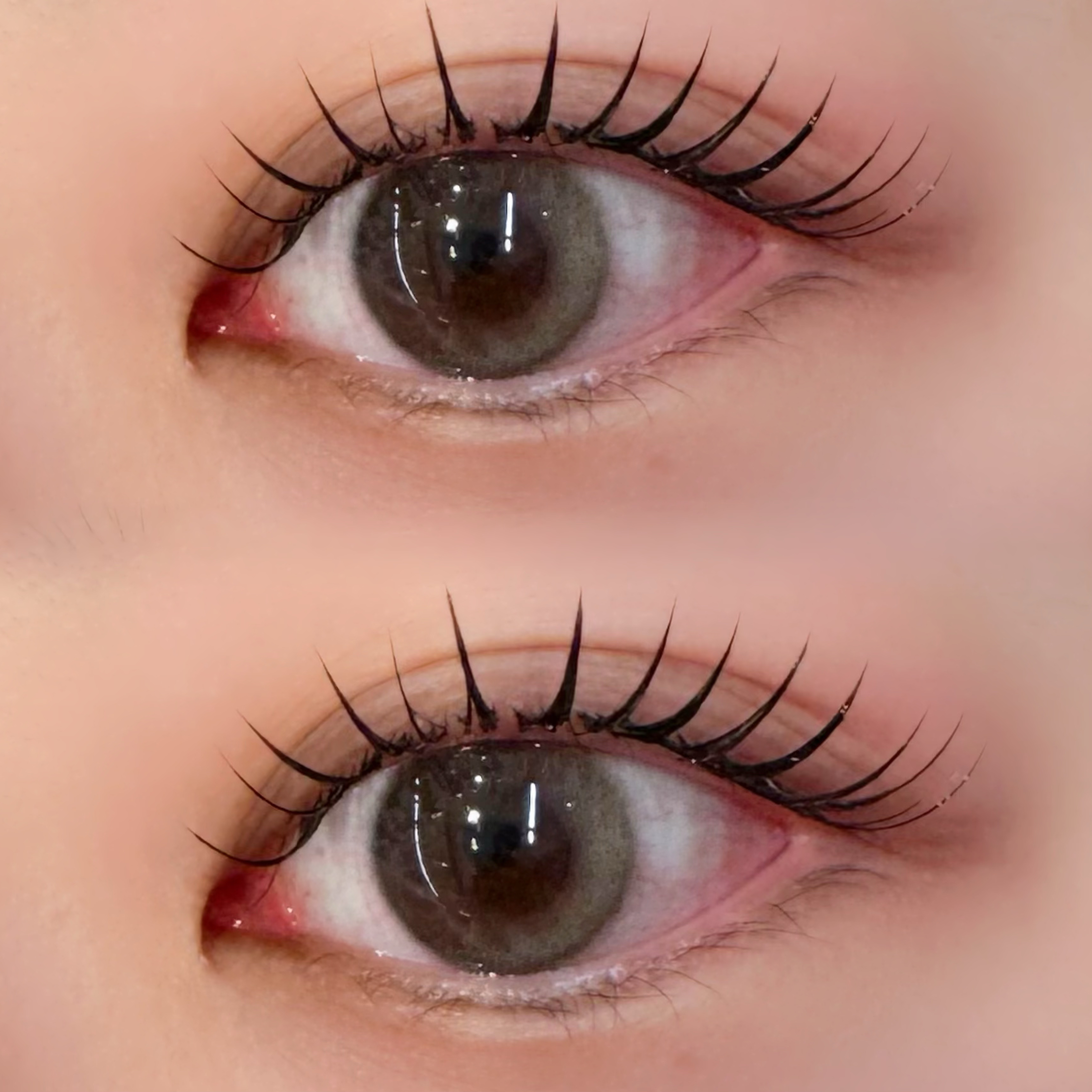 eye_ayame