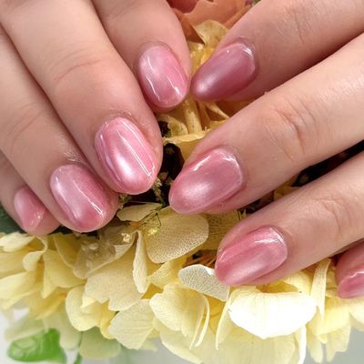スチューデントメニュー【マグネット】