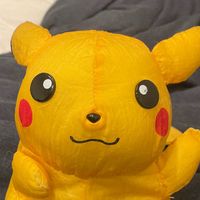 pikachulov624