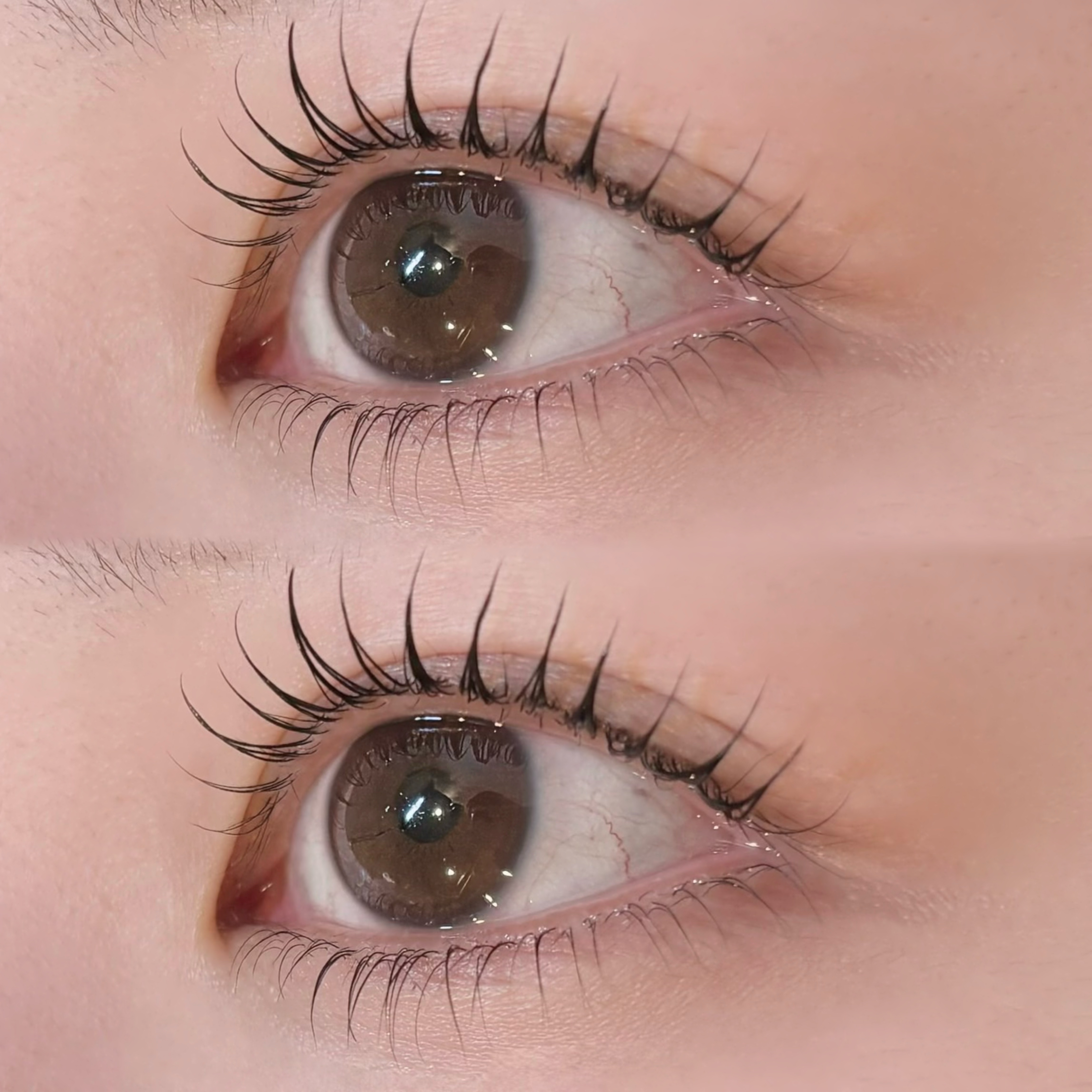 BUCKS_eye