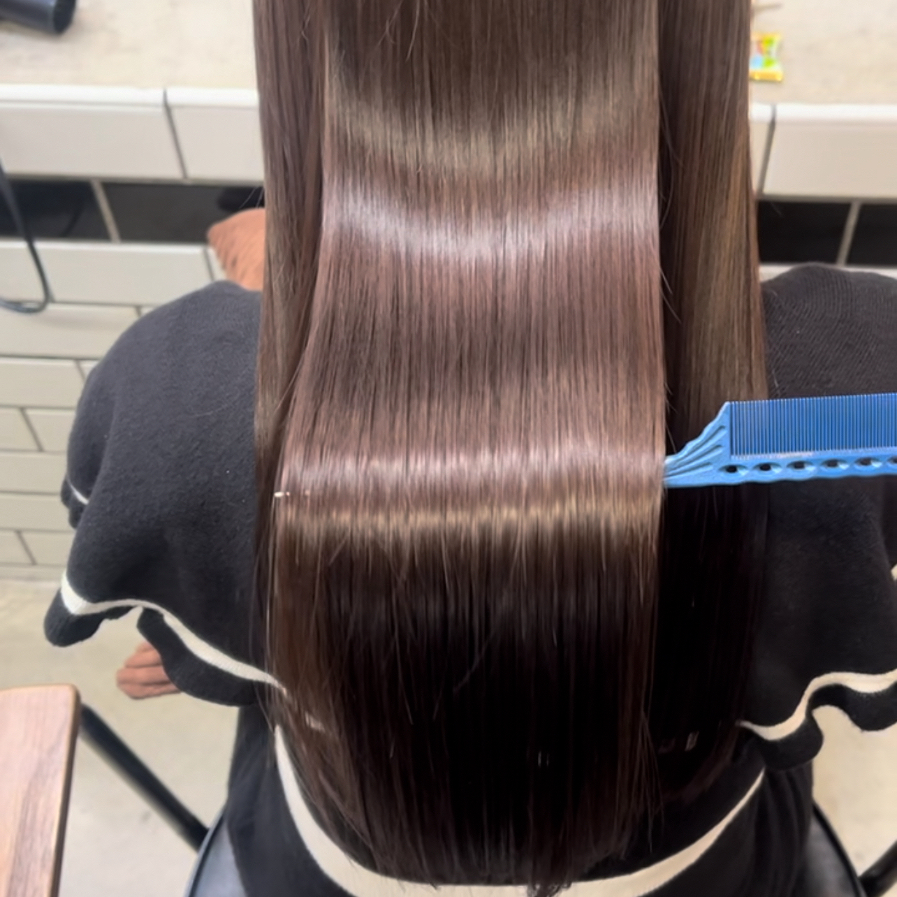 hyoga_1205
