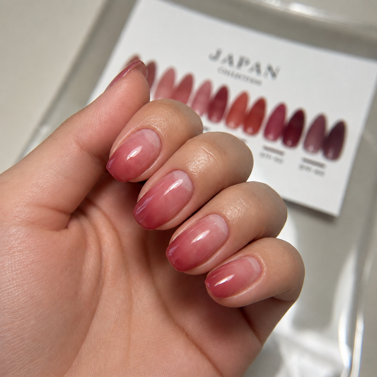 NailSalon.Viel