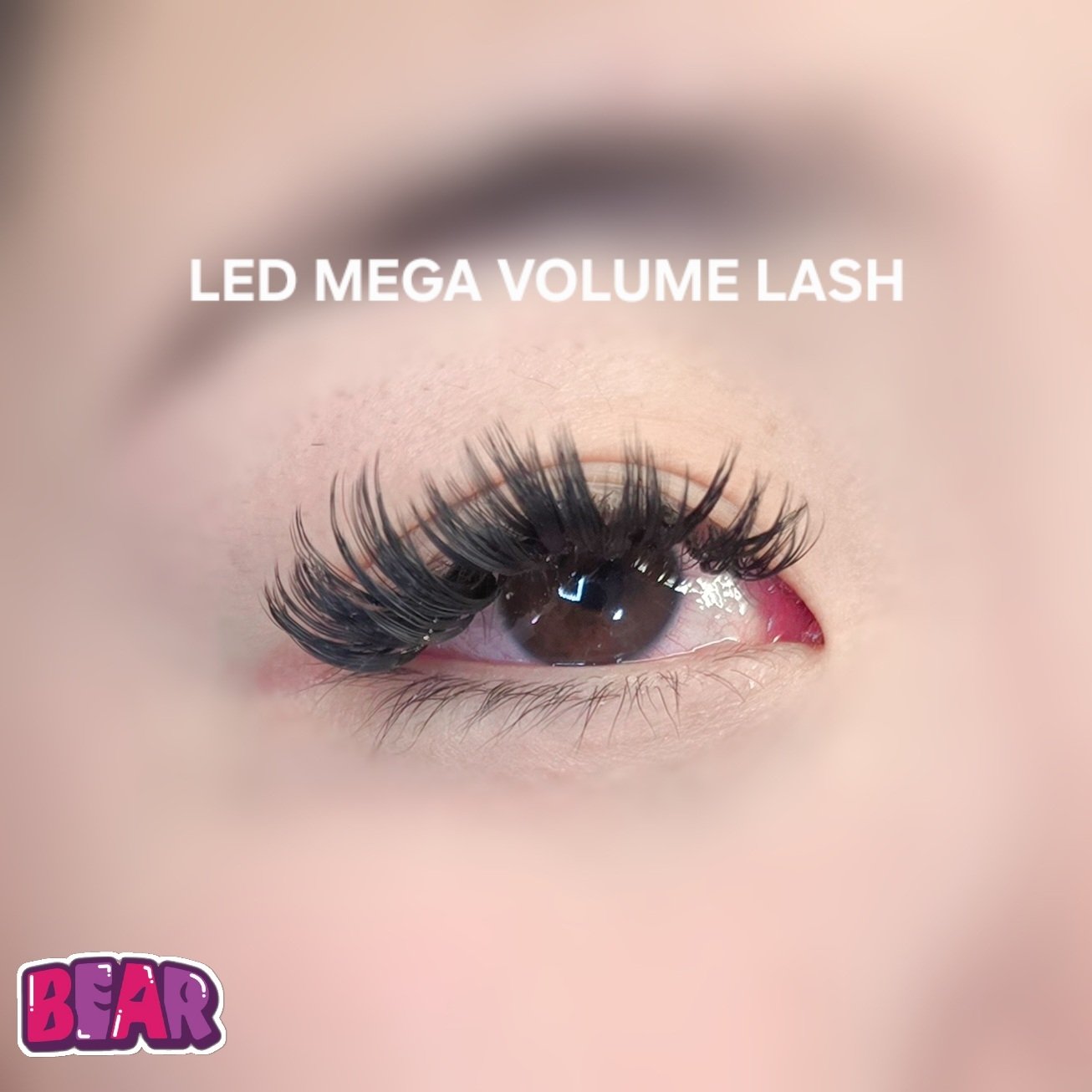 bear._.eyelash