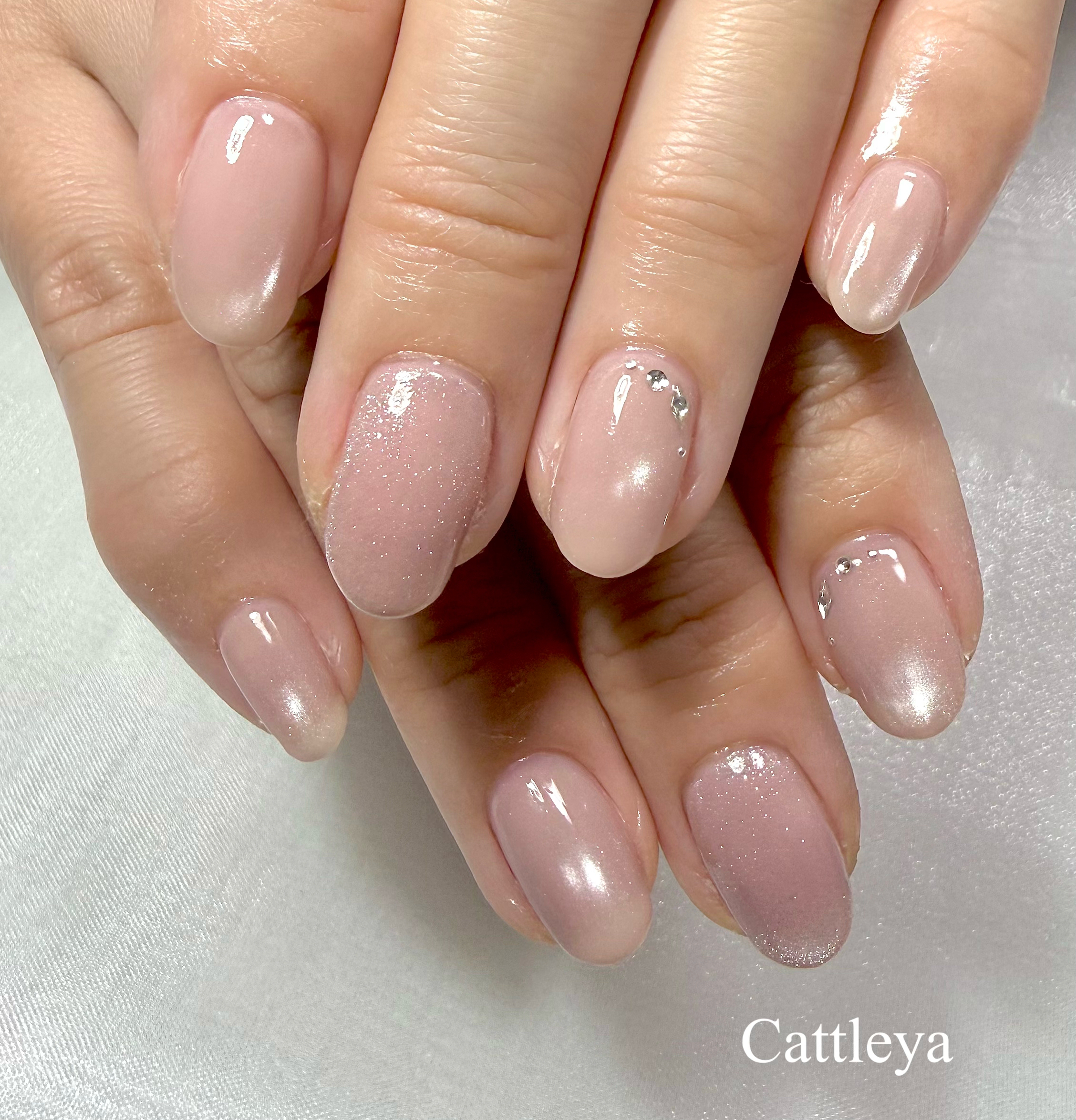_Cattleya_