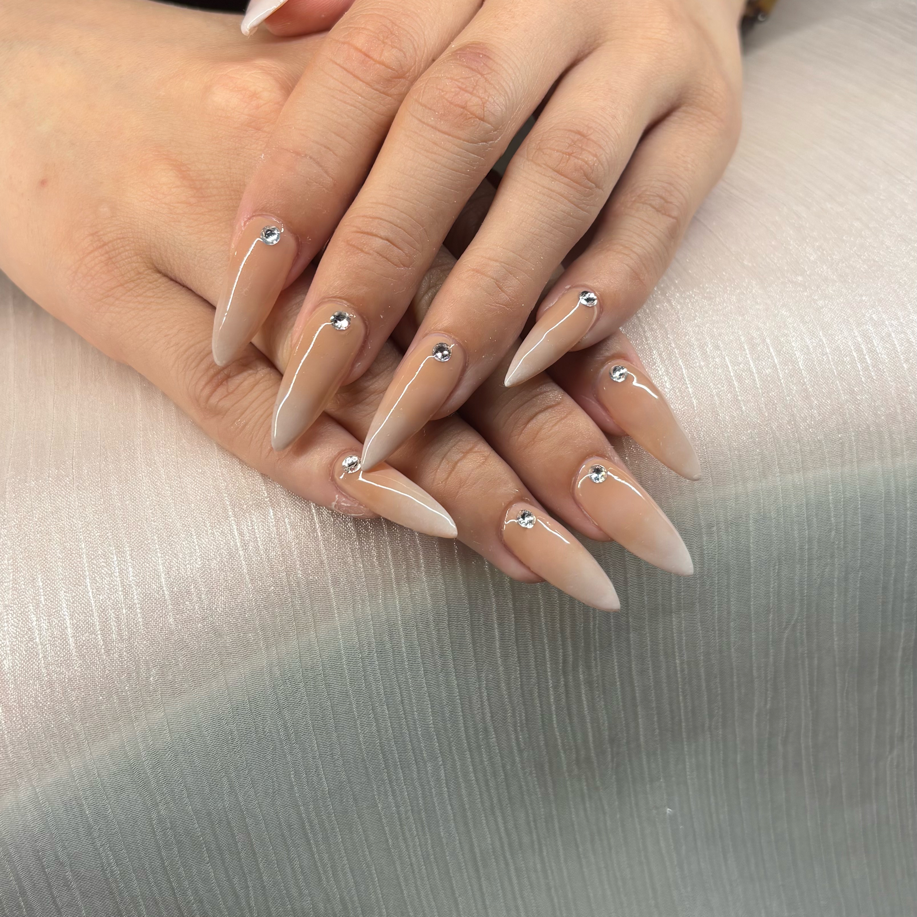 rootsnail