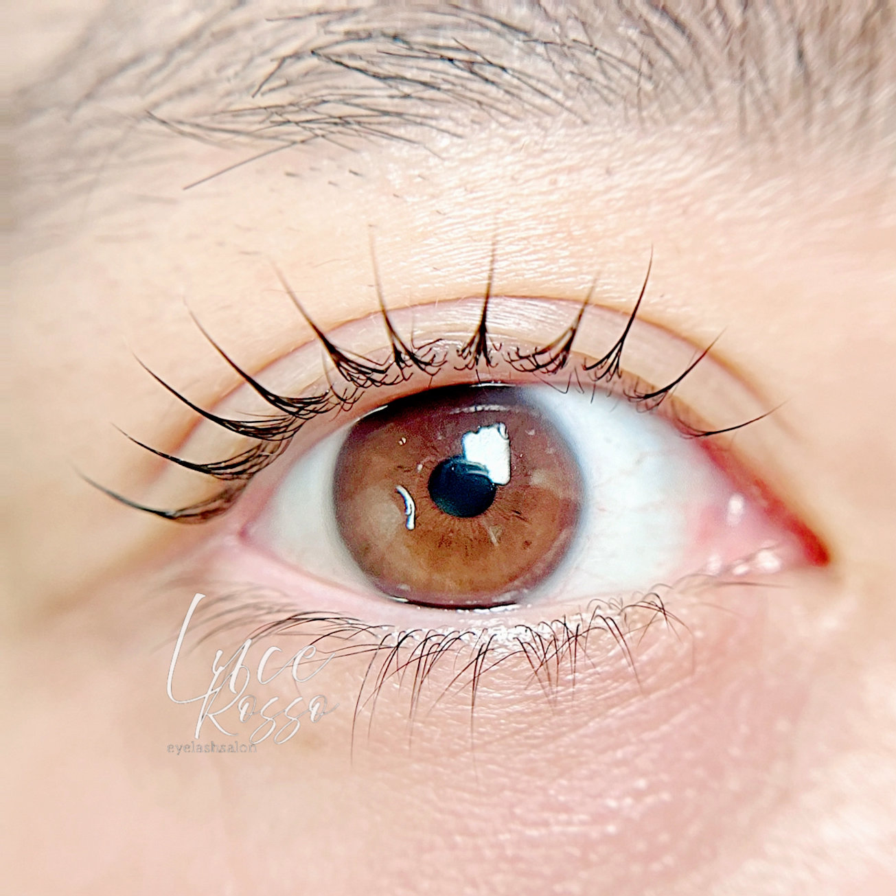 luce__eyelash.k