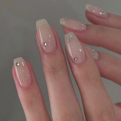 8月限定 シンプルコース
