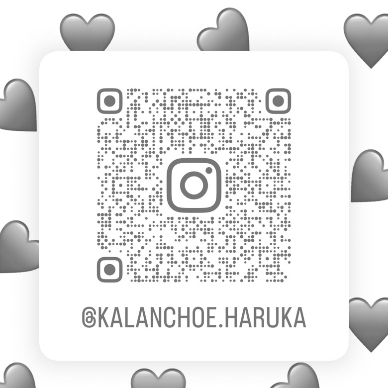 Kalanchoe.haruka