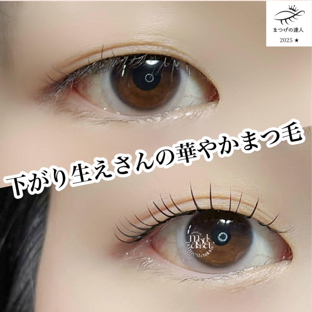 saki_matsuge