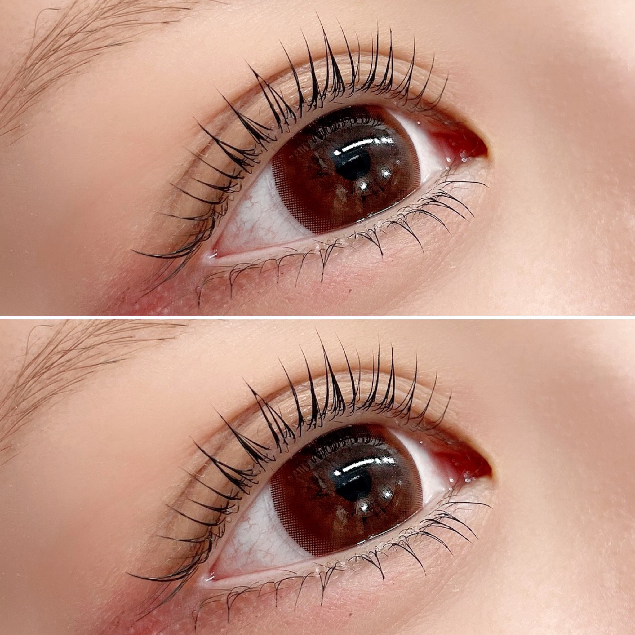 lily_eyebeauty